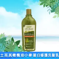 在飛比找蝦皮購物優惠-土耳其 dalan 頂級橄欖油 小麥蛋白修護 控油 抗屑  