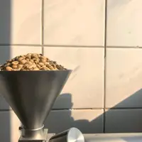 在飛比找蝦皮購物優惠-【高譚咖啡】印度-風漬馬拉巴 AA (單品咖啡豆/咖啡豆磨粉