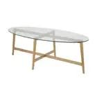 50 Clear Glass And Gold Steel Oval Coffee Table