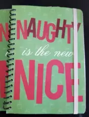 New Naughty Is The New Nice Journal Diary Notebook Small Journal Planner