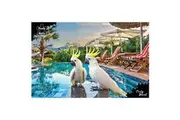 Puzzle Master - Cocky Resort 1000 Piece Puzzle