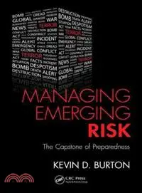 在飛比找三民網路書店優惠-Managing Emerging Risk ─ The C