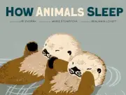 How Animals Sleep by Jiri Dvorak (English) Hardcover Book