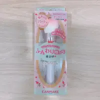 在飛比找蝦皮購物優惠-日本CANMAKE彩妝刷具 腮紅刷/打亮/修容