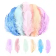Macaroon Craft Rooster Feathers 900pcs 3-5inch Colored Bulk Feathers Natural ...