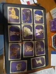 2024 Topps Allen And Ginter STARS OF THE WESTMINSTER DOG SHOW PARTIAL SET CARDS
