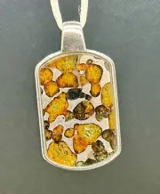 TOP QUALITY SERICHO PALLASITE METEORITE TAG PENDANT