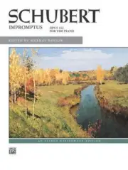 Impromptus Op 142: 4 Impromptus Op.142 by Franz Schubert (English) Paperback Boo