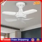 Small Ceiling Fans with Lights Remote Control for Bedroom Living Room Kitchen AU