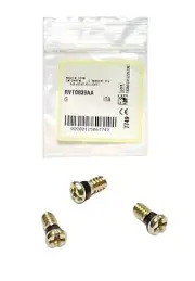 Ray Ban RB3543 Chromance Golden Replacement Hold Lenses & Temple Hinge Screws