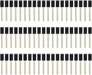 THJOPOKEEL Foam Paint Brushes, 60Pcs 1 Inch, Multi-Purpose, Black, Flat Foam, Great for Kits, Acrylics, Stains, Varnishes, Crafts, Art