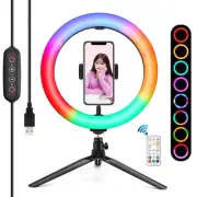 10.2 Marquee Led Beauty Light with Tripod and Remote - Dual-colour Ring Light...