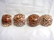 4 SEA SHELL NAPKIN RINGS - Calha Waii Philipines