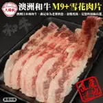 【三頓飯】澳洲和牛M9+熟成雪花肉片(10盒_100G/盒)