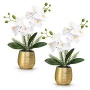 2 Pcs Orchids Artificial Flowers in Gold Ceramic Vase 13'' White Fake Flowers