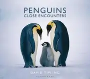 Penguins: Close Encounters by David Tipling (English) Hardcover Book