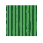 Watermelon Stripes Closeup Face Towel