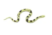 Eastern Copperhead Snake, Rubber Reptile, Realistic Model Toy5" F2034 B39