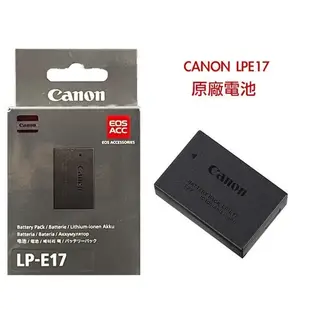 CANON LP-E17 原廠鋰電池 【宇利攝影器材】 適用 R8 R50 M6II 800D 77D 公司貨