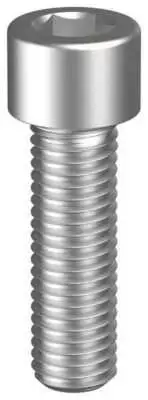 Socket Cap Head Screw 316Ss M10X30Mm