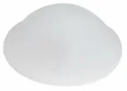 RestoParts Under Dash Courtesy Light Lens 1964-1967 GTO 442 Catalina Grand Prix