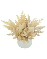 Creative Displays Pampas Arrangement In A Glass Vase