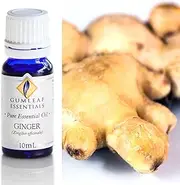 Gumleaf Essentials Ginger Essential Oil - 10ml, Cruelty Free & Vegan, 100% Pure & Natural