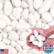 Lechloris 10Ib White River Rocks for Landscaping-Polished Pebbles for Plants-