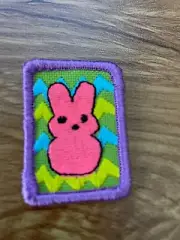 Girl Scouts ~ SPRING TREATS CSA Badge ~ new