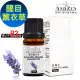 【 ANDZEN 】單方純精油10ml-醒目薰衣草 天然 草本