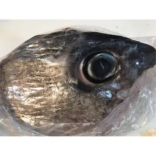 「東港產地直送」限時特賣！黑鮪魚新鮮直送-赤身/皮油/魚骨/魚眼/琵琶骨/頭上肉/尾肉  可代切「聊聊詢問勿下單」