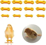 12Psc Baby Chick Splay Leg Hobble Brace, Baby Chick Leg Hobbles, Poultry Leg Bands, Chicken Hobble Braces for Newborn Spraddle Leg of Chick Quails Ducks Bird Parrot of 1 to 3 Days Newly Hatched