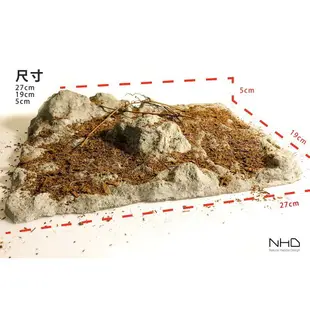 NHD∣砂岩風格∣造景組合∣優惠加購∣NHD造景設計∣豹紋∣肥尾∣守宮∣ 蛇∣鼠∣爬蟲∣底棲寵物