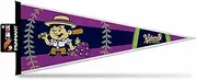 Rico Industries MiLB Baseball Tri-City Dust Devils 12" x 30" Felt Wall Décor Pennant - Great for Home/Bed Room/Man Cave Décor