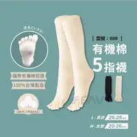 在飛比找蝦皮商城優惠-【FAV】五趾襪【1雙組】台灣製 現貨 女襪 / 純棉 / 