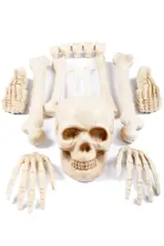 Bag of Bones Skeleton Halloween Decoration