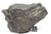 Meteorite NWA 15306 H4 Chondrite, Type 4 Meteorite, 675 gram from outer space