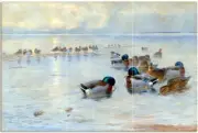 Tile Mural Mallards on a Lake Kitchen Shower Wall Art Backsplash Marble Ceramic