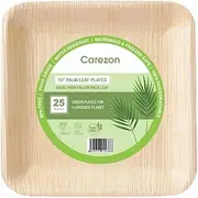 Areca Palm Leaf - Eco-Friendly, 100% Biodegradable, BPA-Free, Water Resistant, Microwave & Freezer Safe, Disposable Plates (10 Inch (Square))