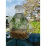 生態瓶，插花瓶，種植花草，養殖魚蝦