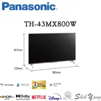 在飛比找蝦皮商城優惠-Panasonic 國際牌 TH-43MX800W 4K連網