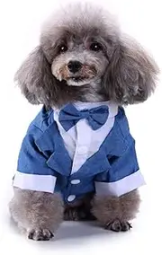 GabeFish Pets Blue Wedding Jackets Suit for Dogs with Blue Bow Tie Puppy Cat Formal Clothes Shirt Tuxedo Blue Large