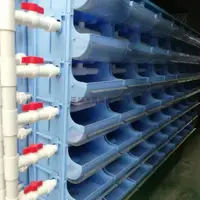 在飛比找蝦皮購物優惠-可開發票螃蟹青蟹大閘蟹梭子蟹室內養殖循環水養殖暫養暫存養成澳