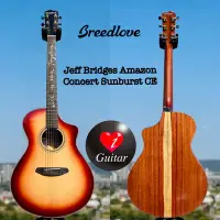 在飛比找Yahoo!奇摩拍賣優惠-【iGuitar】Breedlove Jeff Bridge