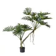 [James Lane] Split Philo Plant Potted - 120 x 90 x 170cm