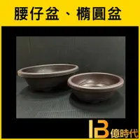 在飛比找蝦皮購物優惠-億時代園藝+腰仔盆 橢圓盆器 矮文竹盆器 淺根植物 多肉植物