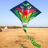 在飛比找蝦皮購物優惠-風箏 造型風箏 抖抖風箏 動態風箏 釣魚風箏 微型風箏 兒童