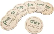Tofficu 1 Set Wooden Baby Monthly Milestone Cards Baby Monthly Milestone Marker Discs Baby Monthly Sign Newborn Wooden Cards Decorative Milestone Markers
