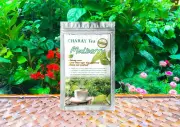 Mulberry Herbal Tea Lower blood sugar & cholesterol Relieve cold symptoms