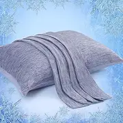 Elegear Cooling Pillowcases for Night Sweats and Hot Flashes, Japanese Q-Max 0.4 Cooling Fiber, Breathable Soft Both Sides Pillow Case with Hidden Zipper, Set of 2, Blue (Queen (20'' x 30''))